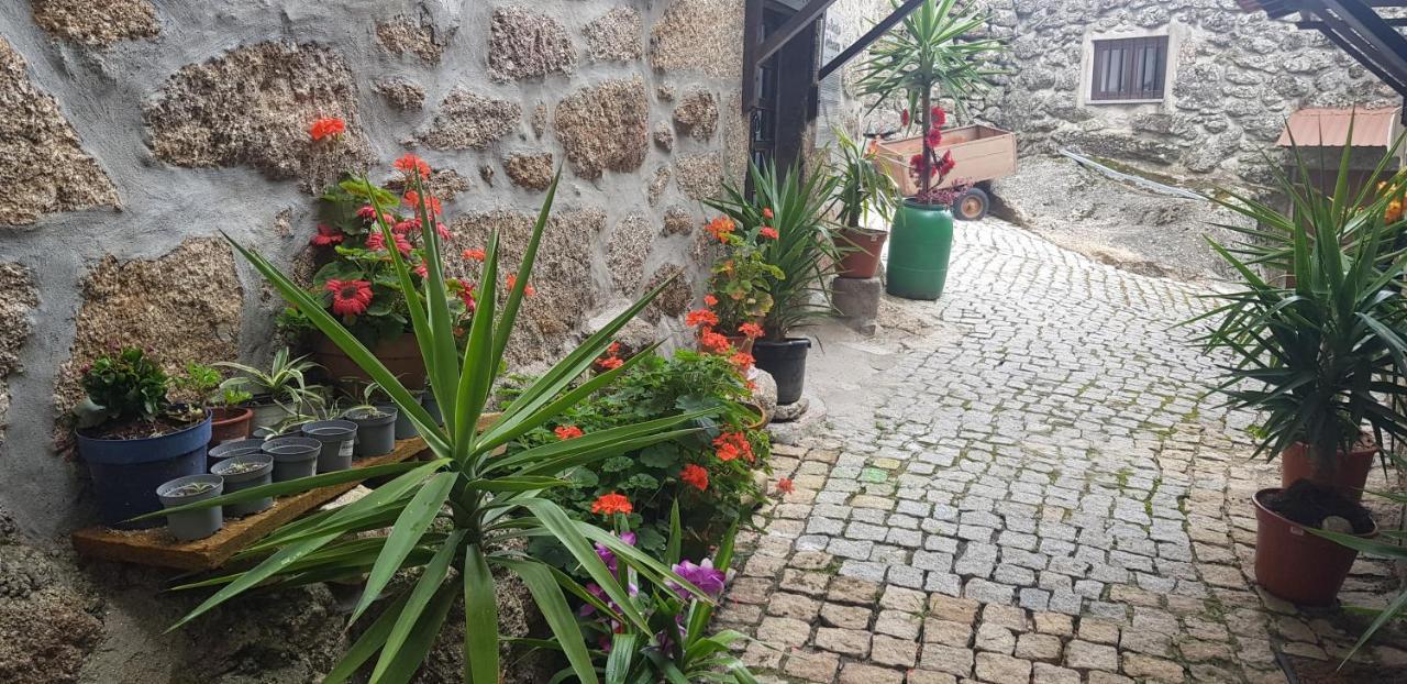 Vila Branca Goncalves Belmonte Exteriér fotografie
